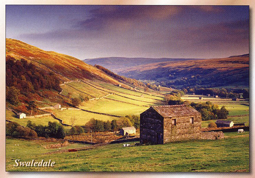 Swaledale Postcards